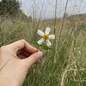 张信哲-过火-DJ Ada DJ JK（Mashup）