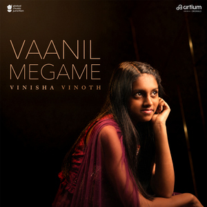 Vaanil Megame
