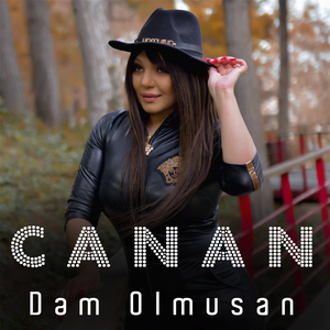 Dem Olmusan