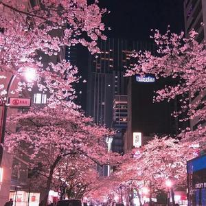 杀死那个石家庄人1_20220526_000303