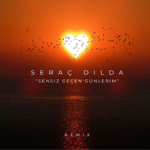 Sensiz Geçen Günlerim (Remix)