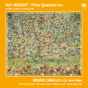 Flute Quartet in C Major, K. Anh. 171:II. Andantino con variazioni