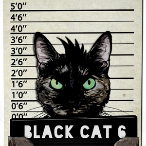 Love, Peace and Hope