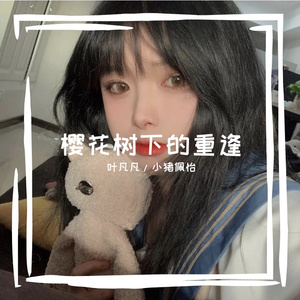 樱花树下的重逢