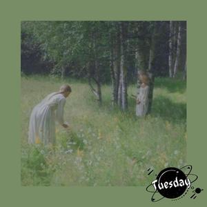 *免费*“狗尾草”guitar chill beat