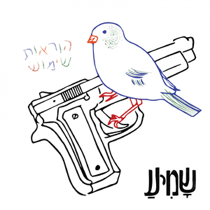 הוראות שימוש