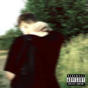 ПОМЕШАННЫЙ