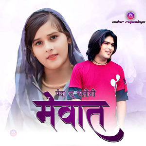 पंदा लू चलीगी मेवात