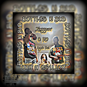 BOTTLES N BUD