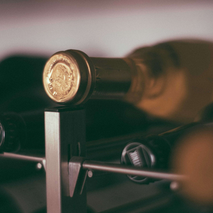 the party where everything went wrong