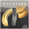 Andy Kong - Wildfire