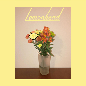 Lemonhead