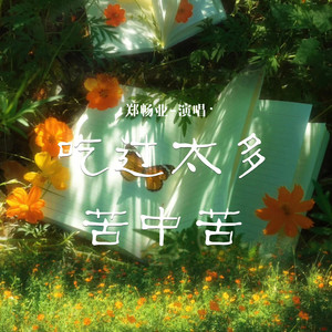 吃过太多苦中苦