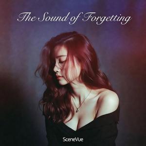 The Sound of Forgetting