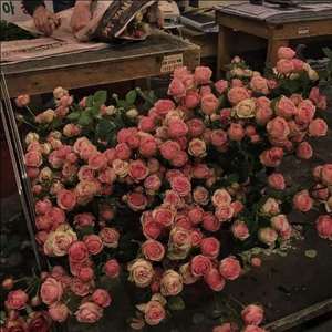 【Free】Guitar-type beat“花”