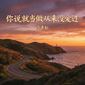 你说就当做从来没爱过