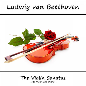 Violin Sonata No. 5 in F Major, Op. 24: II. Adagio molto espressivo