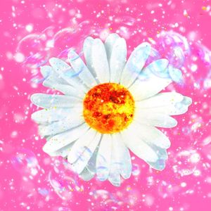 阳光洒落你的长发