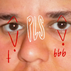 PLS (sunset version)