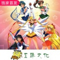 美少女战士 (DJ版)
