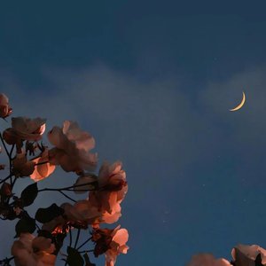 这场雨下得不明不白