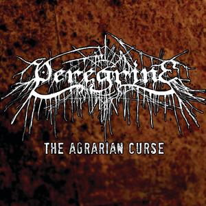 Anatomy of the Machine