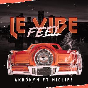 Feel le vibe (feat. MicLife) (Radio Edit)