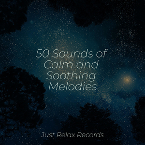 Echoes in Hibernation's Embrace