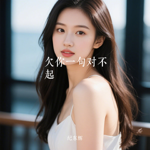欠你一句对不起