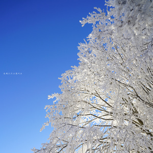 올해도 수고했어요