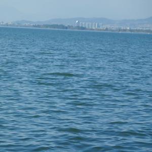 口琴-海浪、海鸥与你