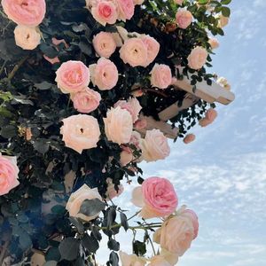 为了遇见你（cover胡瑶）