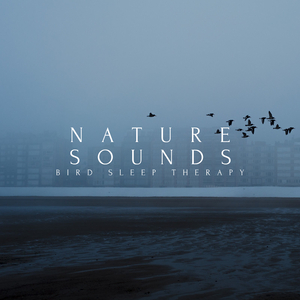 Soothing Nature Bird Sounds
