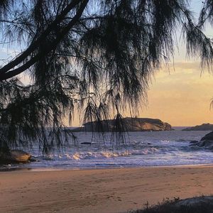 剑伤（吴东旭）