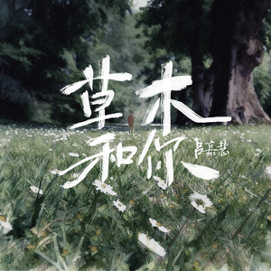 草木和你