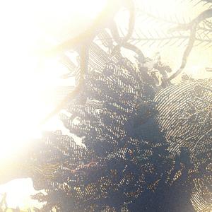 Slight Ide (Mature Hour)