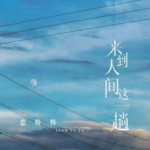 来到人间这一趟 (DJ九零版)