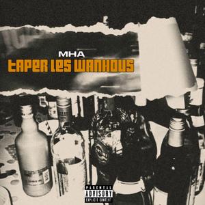 TAPER LES WANHOUS