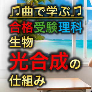 理科 生物_光合成の仕組み