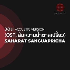 วอน (Won) [Acoustic Version]
