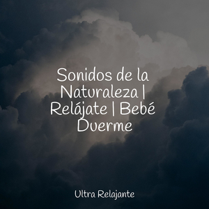 Sueño Y Concentración