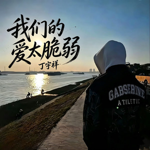 我们的爱太脆弱