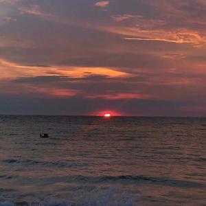 You & The Explosion Band-我真的只想和你看月亮 并不是只看你（Purplely-T remix）