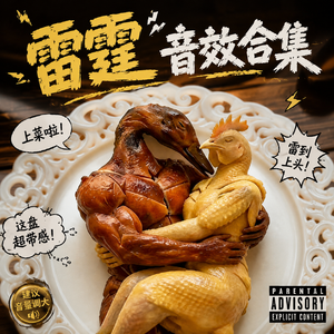 私人雷霆音效合集（珍藏版）