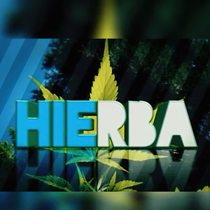 Hierba