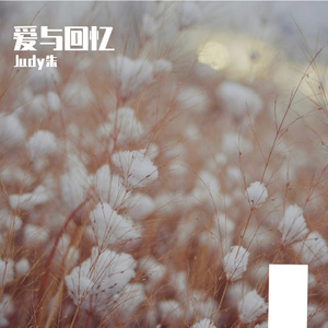 夜幕下的热情之火