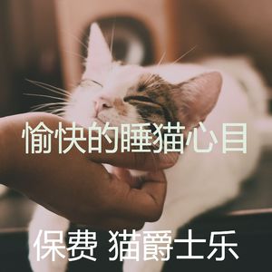 安静的猫在家声音