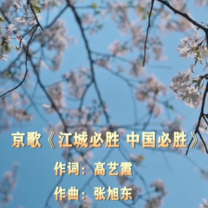 江城必胜 中国必胜