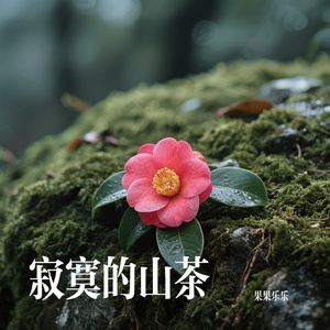 寂寞的山茶