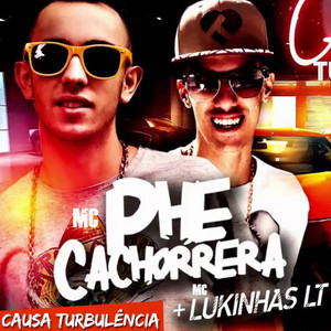 Causa Turbulência